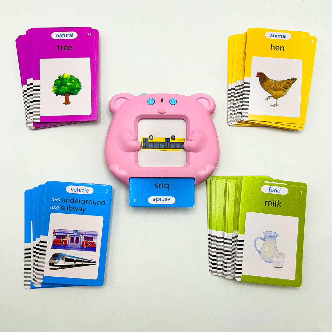 Text Card Toys Talking Toy Flash Card – Mian Mart