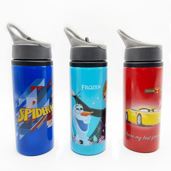 Metal Character Water Bottle For Kids